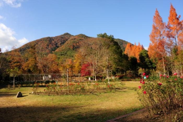 写真：妙見富士