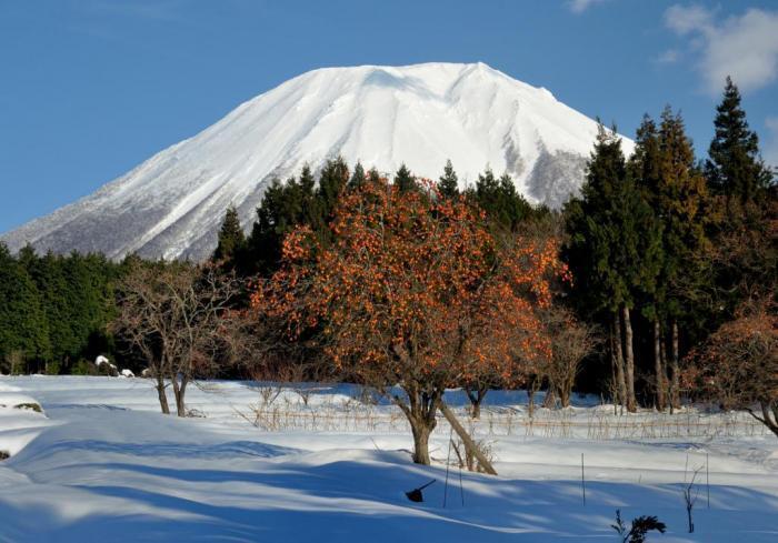 写真：伯耆富士