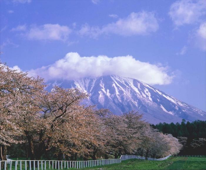 写真：南部富士