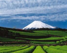 写真:春の富士山