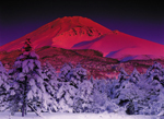 写真:冬の富士山