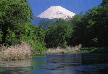 写真：富士山と柿田川