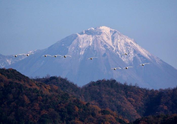 写真：伯耆富士