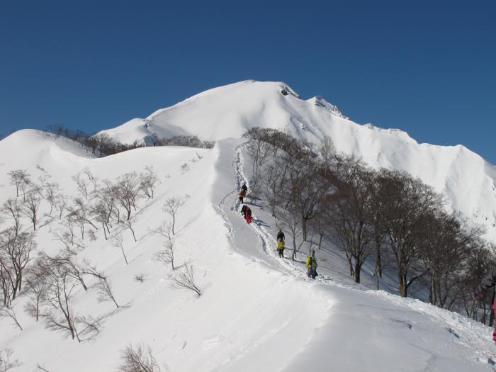 写真：谷川富士