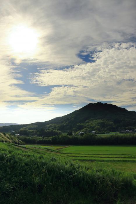 写真：鴨川富士