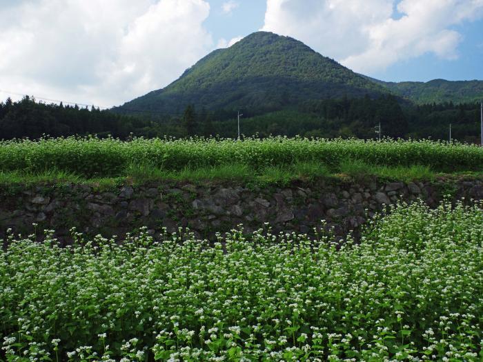 写真：豊平富士