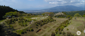 写真：山中城