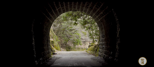 写真：天城隧道