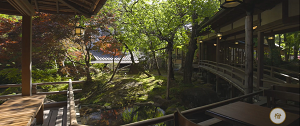写真：新井旅館