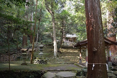 写真：八幡野八幡宮・来宮神社社叢