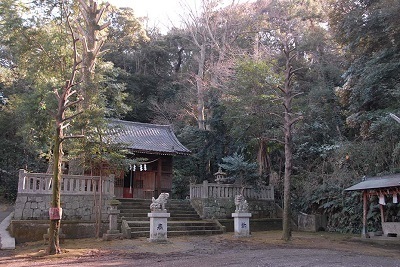 写真：天照皇太神社社叢