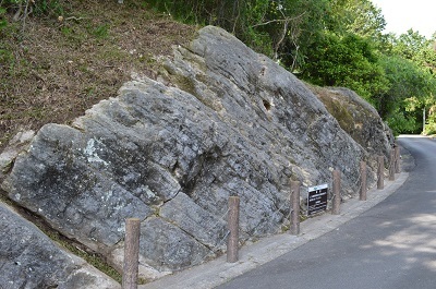 写真：下白岩のレピドサイクリナ化石産地