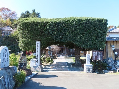 写真：本勝寺　ナギ・マキの門