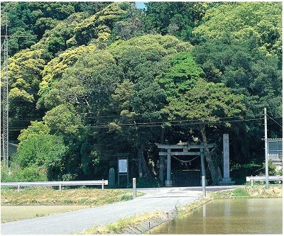 写真：比木賀茂神社社叢