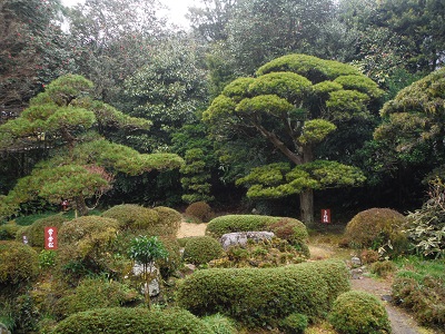 写真：柴屋寺庭園