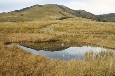 写真：細野湿原