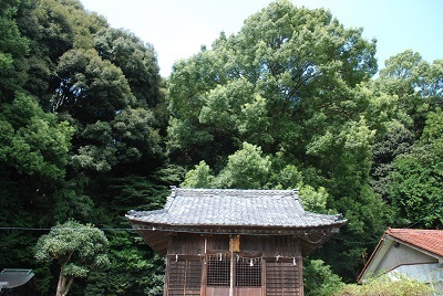 写真：若一王子神社の社叢