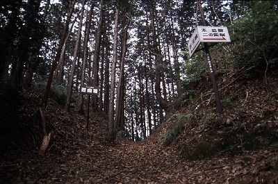 写真：千頭峯城跡