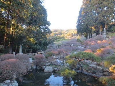 写真：長楽寺庭園
