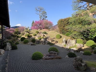 写真：実相寺庭園
