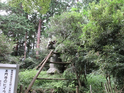 写真：西山本門寺の大柊