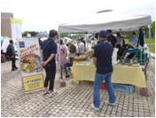 令和6年5月18日（土曜）19日（日曜）に浜名湖ガーデンパークで開催された農福連携マルシェの様子