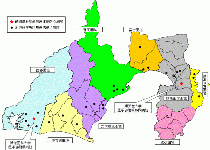 イラスト：静岡県肝疾患診療連携拠点病院・地域肝疾患診療連携拠点病院　位置図