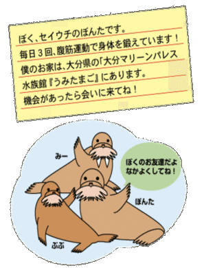 イラスト：ぼく、セイウチのぼんたです。 毎日3回、腹筋運動で身体を鍛えています! 僕のお家は、大分県の「大分マリーンパレス 水族館 『うみたまご』 にあります。 機会があったら会いに来てね!