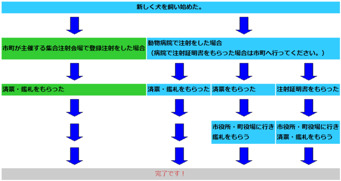 イラスト：狂犬病予防注射フロー図