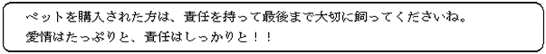 ペットを購入された方は、責任を持って最後まで大切に飼ってくださいね。愛情はたっぷりと、責任はしっかりと！！