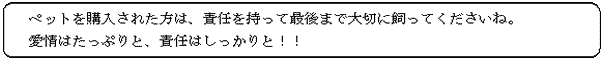 ペットを購入された方は、責任を持って最後まで大切に飼ってくださいね。愛情はたっぷりと、責任はしっかりと！！