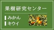果樹研究センター（みかん・キウイ）