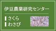 伊豆農業研究センター（さくら・わさび）