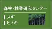 森林・林業研究センター（スギ・ヒノキ）