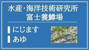水産・海洋技術研究所　富士養鱒場（にじます・あゆ）（外部リンク・新しいウィンドウで開きます）