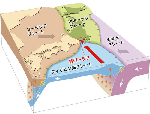 イラスト：駿河湾周辺の海底プレート解説図