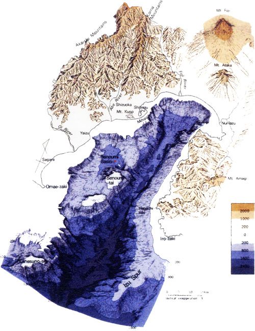 駿河湾海底地形図
