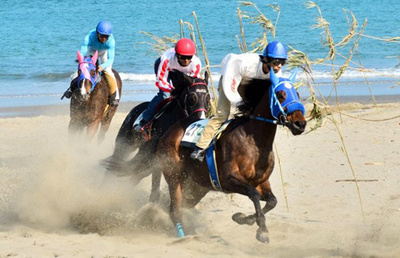 写真：さがら草競馬