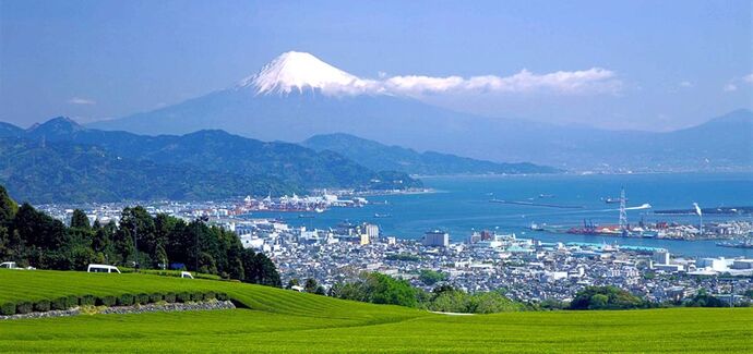 写真：日本平景観