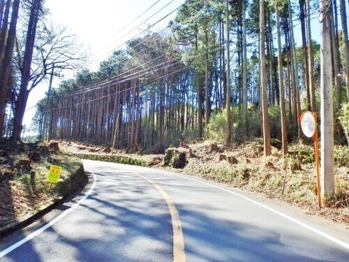写真:裾野市道路整備後