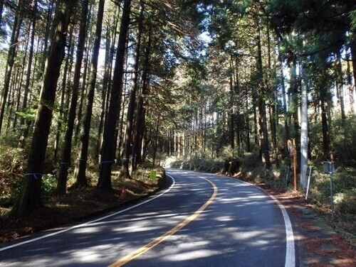 写真:裾野市道路整備前