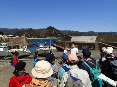 写真:漁業体験の様子1