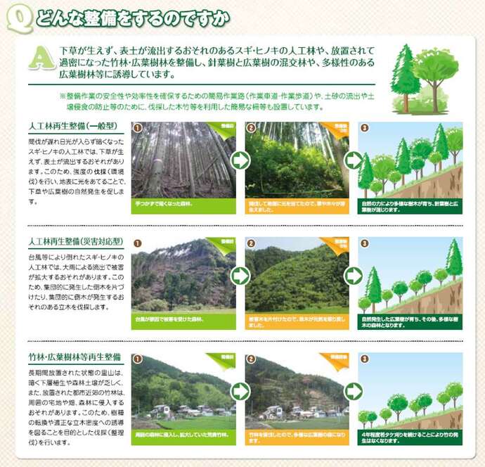 資料：下草が生えず、表土が流出するおそれのあるスギ・ヒノキの人口林や、放置されて過密になった竹林・広葉樹林を整備し、針葉樹と広葉樹の混交林や、多様性のある広葉樹林等に誘導しています。