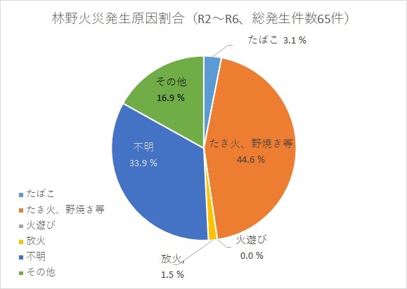 グラフ：発生原因割合（令和2～令和6年）