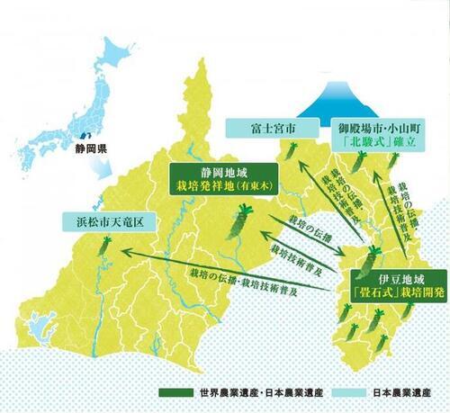 イラスト：静岡県の主なわさび産地