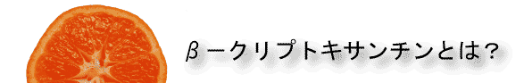 βークリプトキサンチンとは？