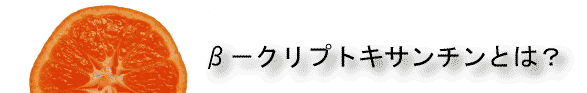 βークリプトキサンチンとは？