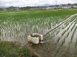 写真：中川地区給水栓