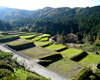 写真：荒原の棚田