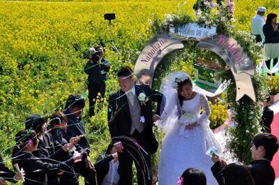 写真：幸せいっぱいの菜の花畑